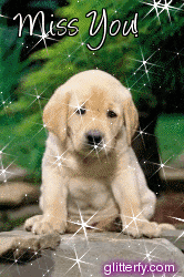 miss.gif