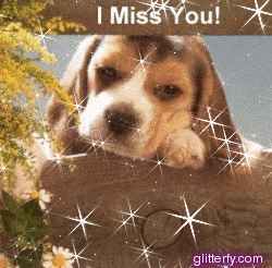 miss_you.gif