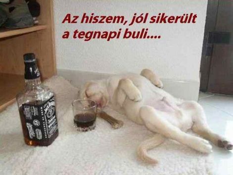 tekila.jpg